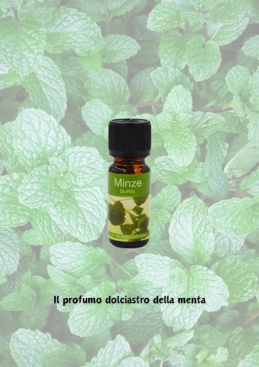 OLIO ESSENZIALE - MENTA
