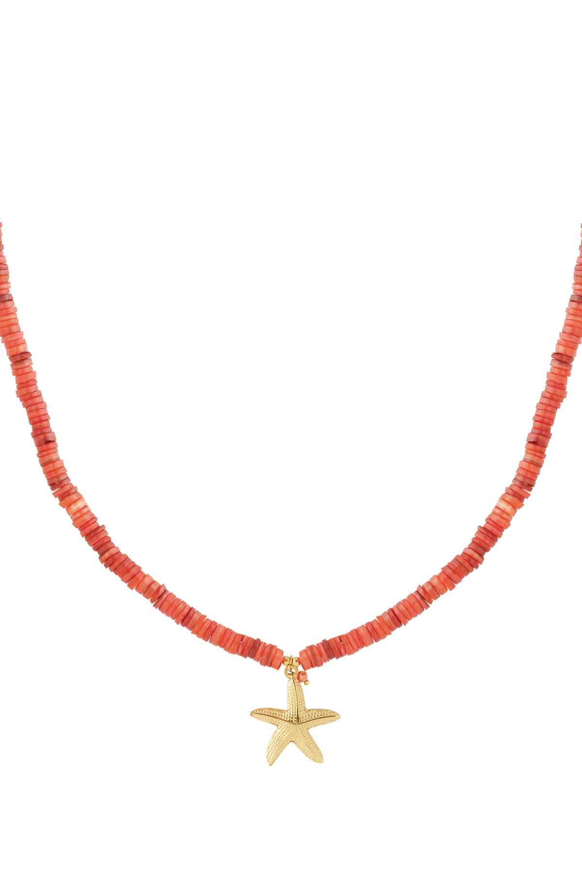 Collana con grande stella marina